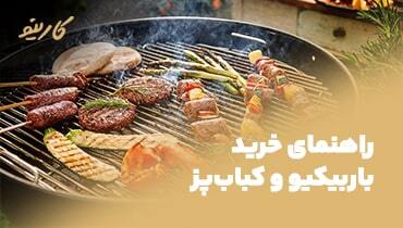 خرید باربیکیو و کباب پز